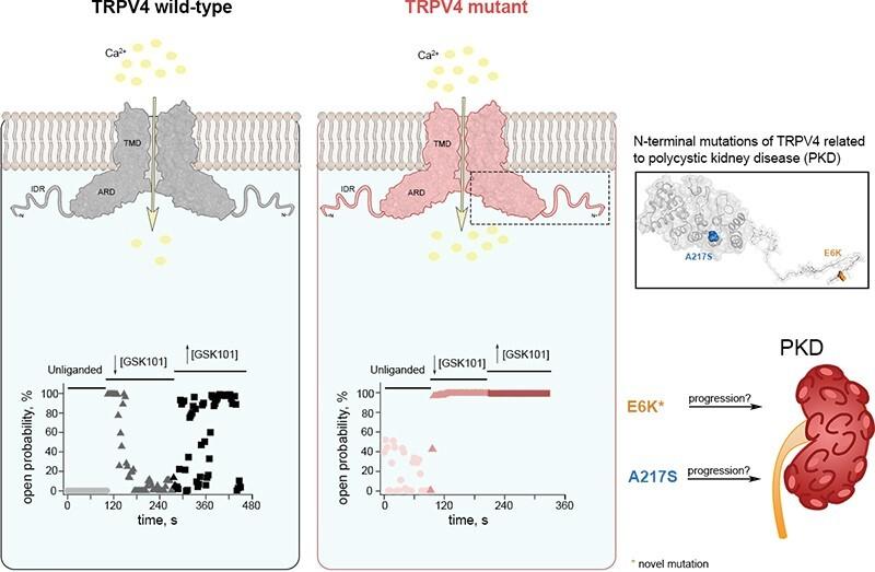 https://cdn.ncbi.nlm.nih.gov/pmc/blobs/0e91/11384909/57b05bd5e4a9/zqae031fig1g.jpg