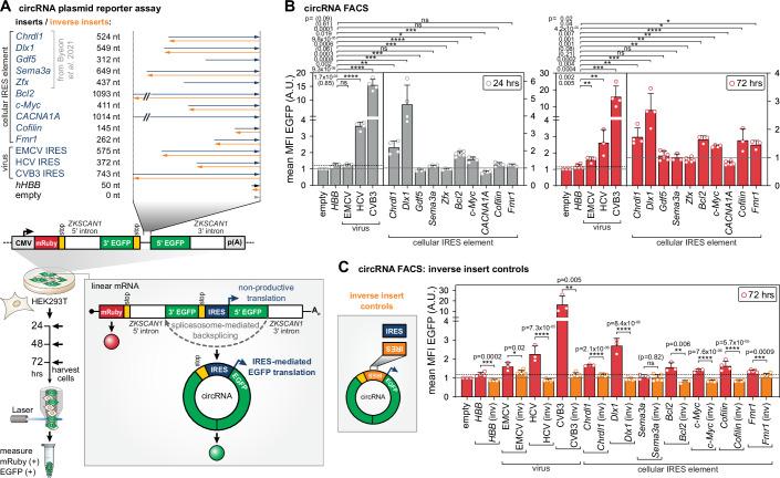 https://cdn.ncbi.nlm.nih.gov/pmc/blobs/0e92/12048685/4bf8b1123be9/44318_2025_404_Fig1_HTML.jpg