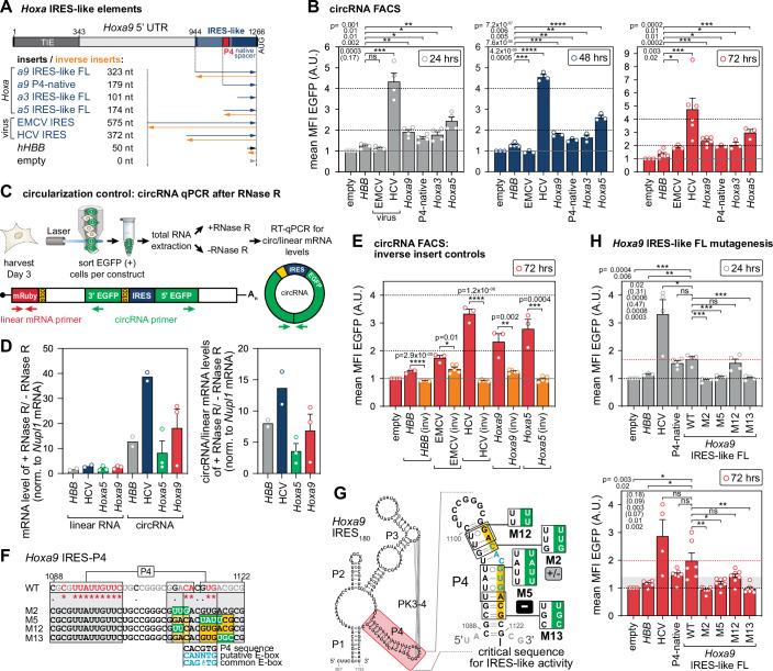 https://cdn.ncbi.nlm.nih.gov/pmc/blobs/0e92/12048685/c077a7579390/44318_2025_404_Fig2_HTML.jpg