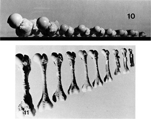 https://cdn.ncbi.nlm.nih.gov/pmc/blobs/0e92/6416016/89c0a31f67df/bpo-39-e173-g007.jpg