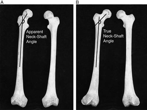 https://cdn.ncbi.nlm.nih.gov/pmc/blobs/0e92/6416016/c7e377e9e2b0/bpo-39-e173-g004.jpg