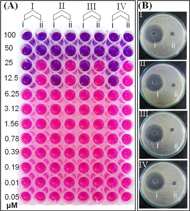 https://cdn.ncbi.nlm.nih.gov/pmc/blobs/0e92/6714611/c27212bc95bf/ao9b01886_0003.jpg
