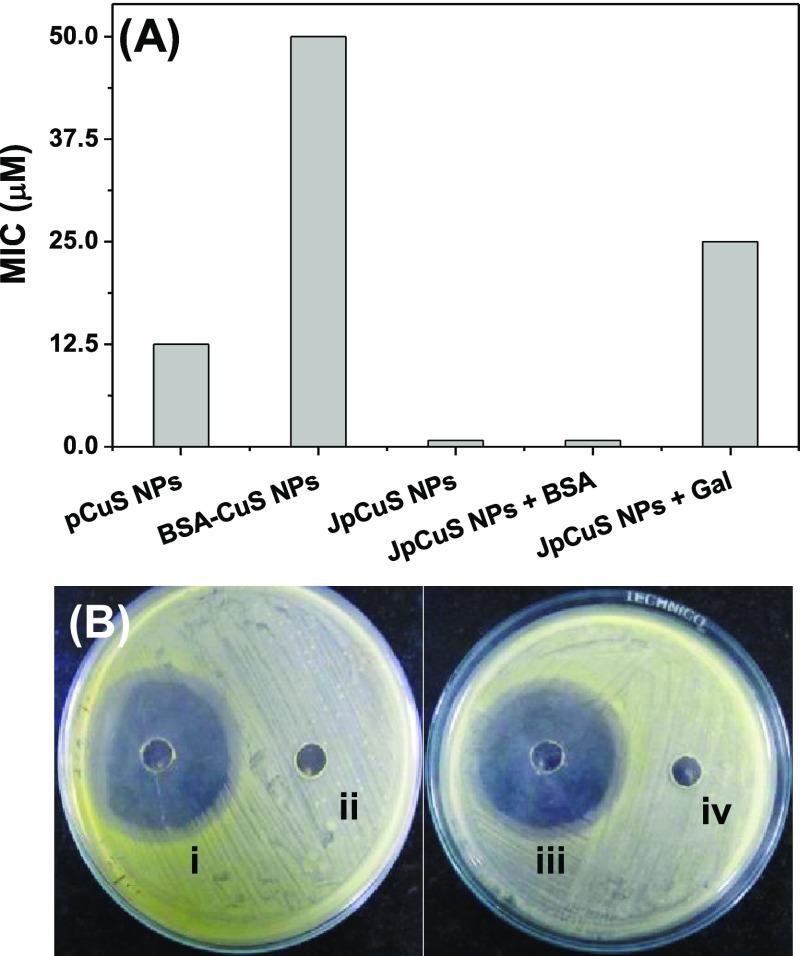 https://cdn.ncbi.nlm.nih.gov/pmc/blobs/0e92/6714611/f47c6520cf75/ao9b01886_0004.jpg