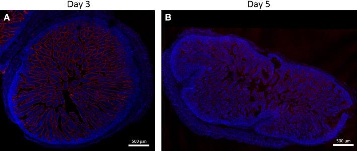 https://cdn.ncbi.nlm.nih.gov/pmc/blobs/0e93/5112496/22e09f740d6a/PHY2-4-e13018-g005.jpg