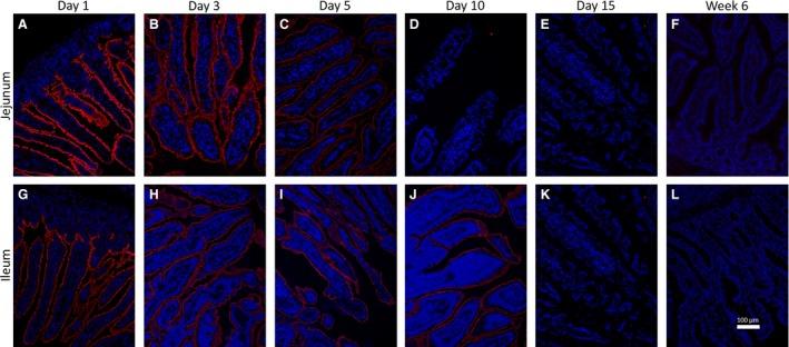 https://cdn.ncbi.nlm.nih.gov/pmc/blobs/0e93/5112496/4c4718c2a85e/PHY2-4-e13018-g004.jpg