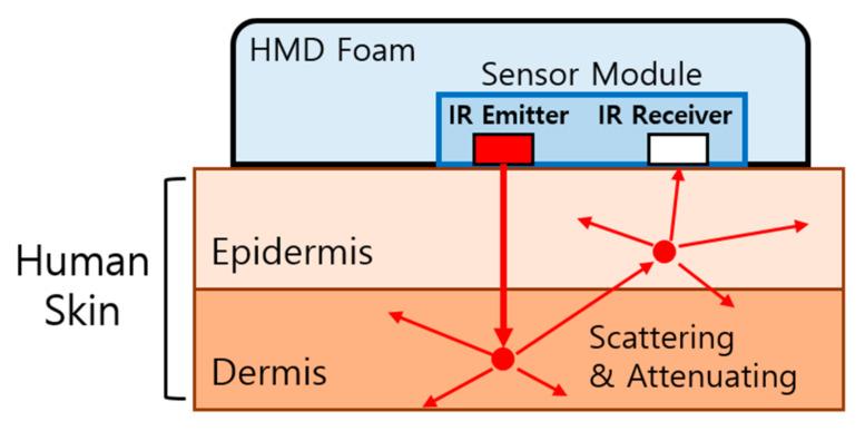 https://cdn.ncbi.nlm.nih.gov/pmc/blobs/0e93/7766087/e42bc6b3a141/sensors-20-07206-g001.jpg