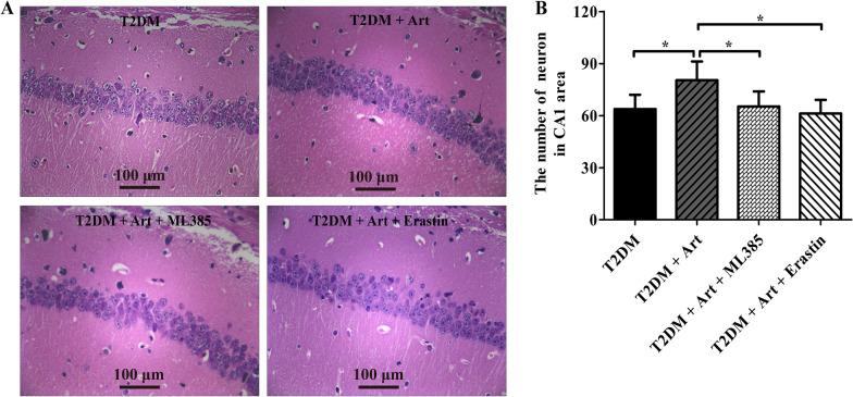 https://cdn.ncbi.nlm.nih.gov/pmc/blobs/0e94/10921734/d1762250ddca/10020_2024_797_Fig5_HTML.jpg