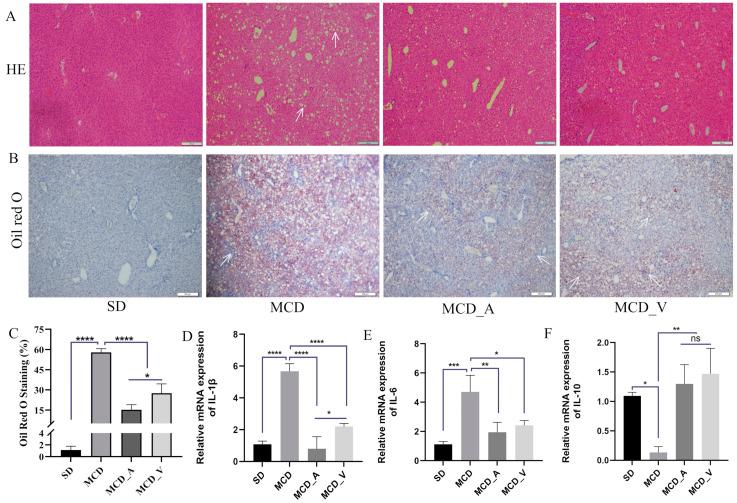 https://cdn.ncbi.nlm.nih.gov/pmc/blobs/0e94/11124503/ac20f8e2f00c/microorganisms-12-01020-g002.jpg
