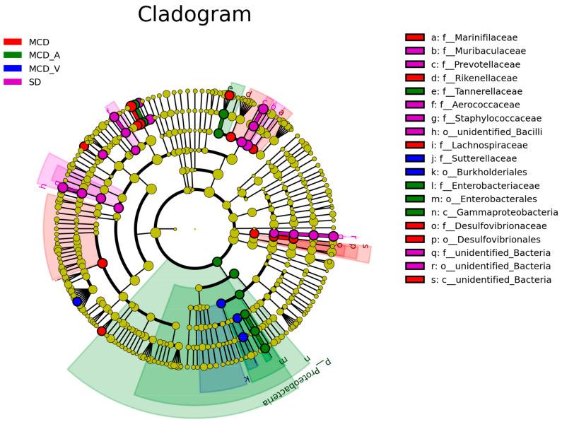 https://cdn.ncbi.nlm.nih.gov/pmc/blobs/0e94/11124503/ae53c20a5f72/microorganisms-12-01020-g005.jpg