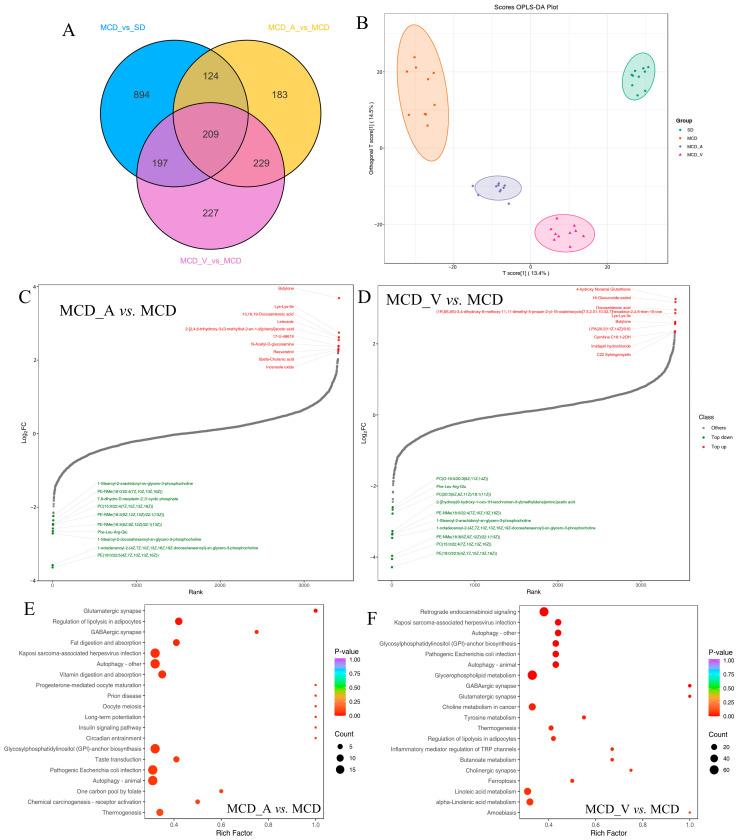 https://cdn.ncbi.nlm.nih.gov/pmc/blobs/0e94/11124503/d739e4911c10/microorganisms-12-01020-g007.jpg