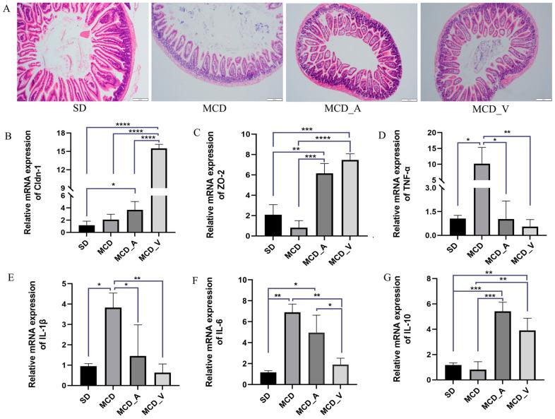 https://cdn.ncbi.nlm.nih.gov/pmc/blobs/0e94/11124503/fa6ff69c8380/microorganisms-12-01020-g003.jpg