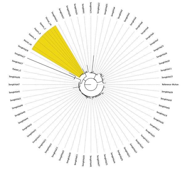 https://cdn.ncbi.nlm.nih.gov/pmc/blobs/0e95/9239874/045200f4b7e3/21-2605-F2.jpg