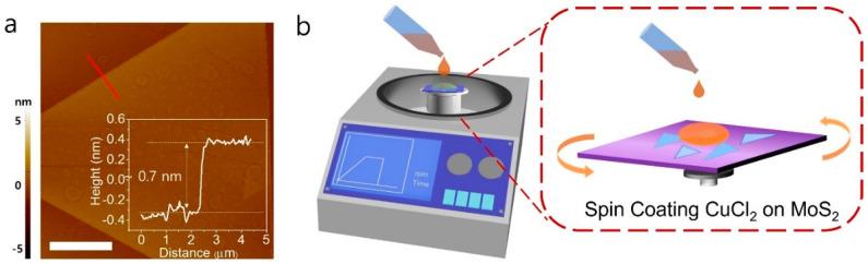 https://cdn.ncbi.nlm.nih.gov/pmc/blobs/0e95/9458048/fb4234fda3b4/nanomaterials-12-02893-g001.jpg