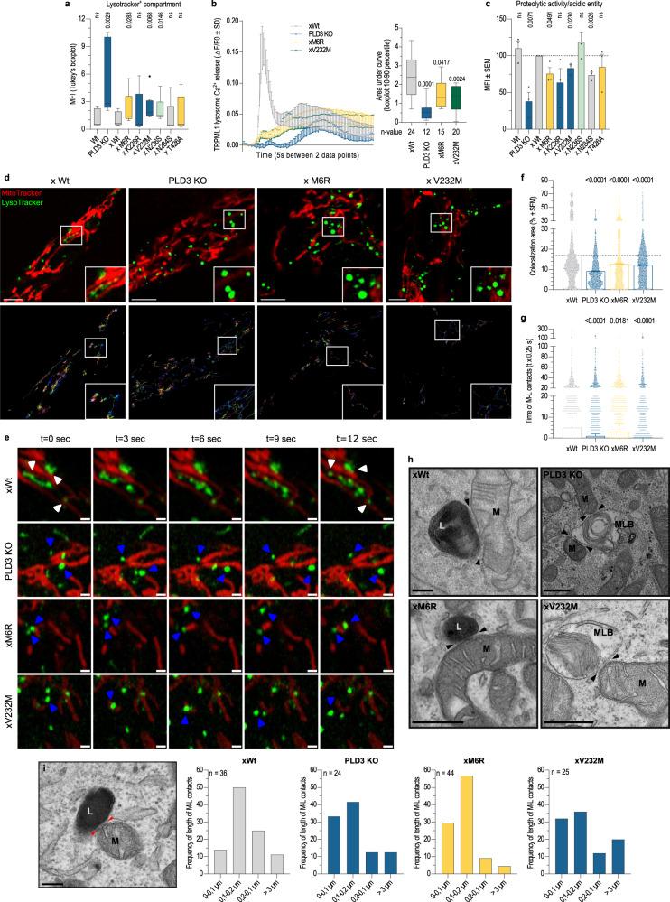 https://cdn.ncbi.nlm.nih.gov/pmc/blobs/0e97/10209153/0159572ae651/41467_2023_38501_Fig4_HTML.jpg