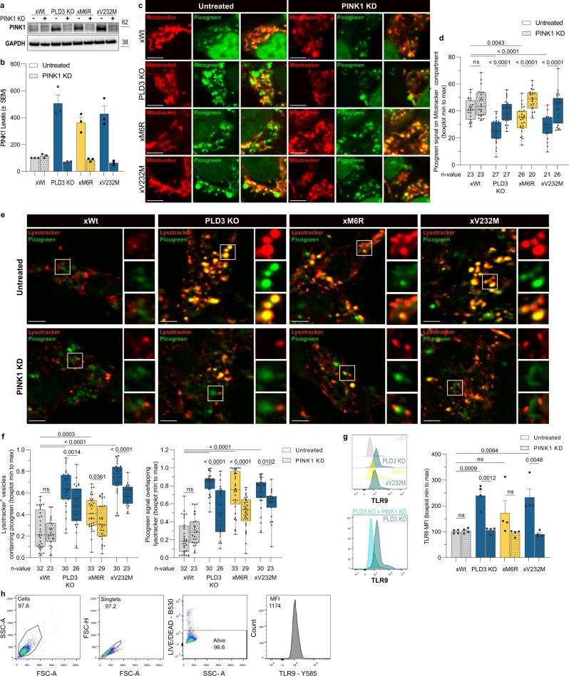 https://cdn.ncbi.nlm.nih.gov/pmc/blobs/0e97/10209153/6ec217c2abf3/41467_2023_38501_Fig3_HTML.jpg