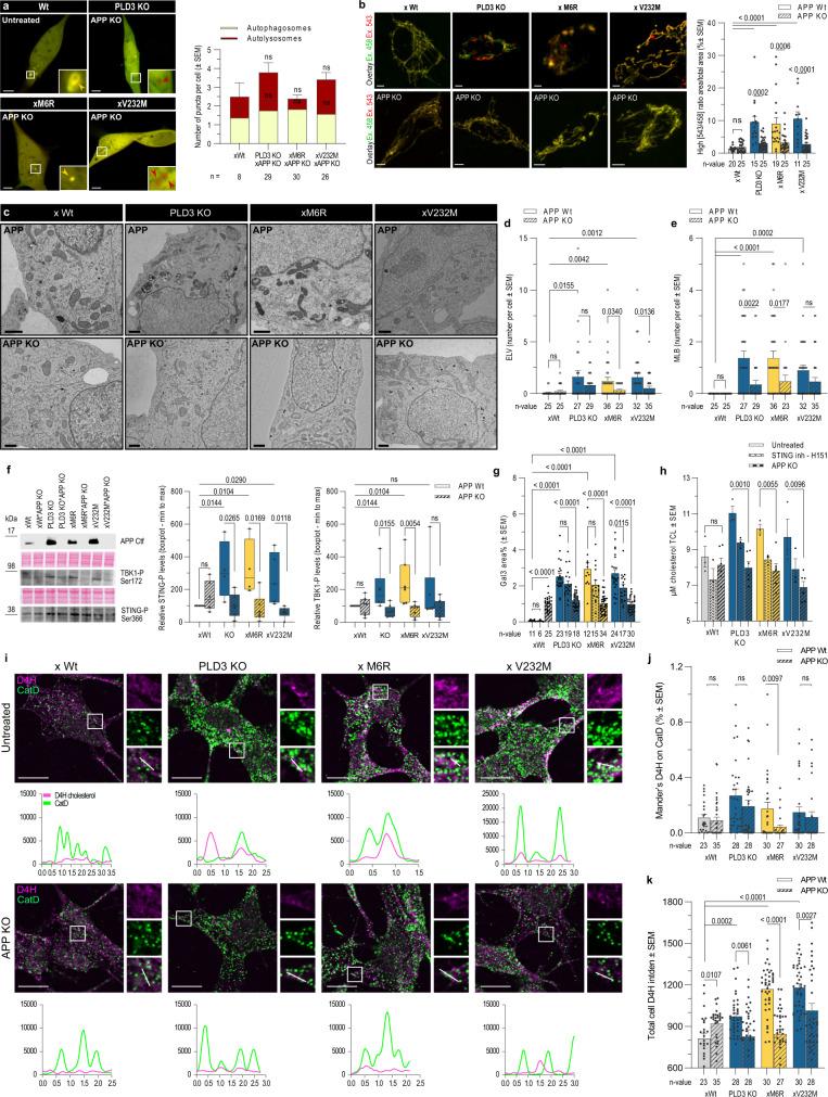 https://cdn.ncbi.nlm.nih.gov/pmc/blobs/0e97/10209153/75e6e60ae130/41467_2023_38501_Fig7_HTML.jpg
