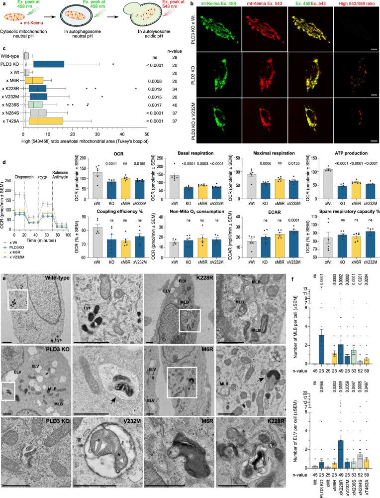 https://cdn.ncbi.nlm.nih.gov/pmc/blobs/0e97/10209153/a25ea5d64fcc/41467_2023_38501_Fig2_HTML.jpg