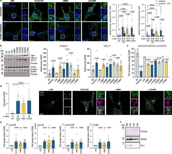 https://cdn.ncbi.nlm.nih.gov/pmc/blobs/0e97/10209153/d80b8fe2595d/41467_2023_38501_Fig5_HTML.jpg