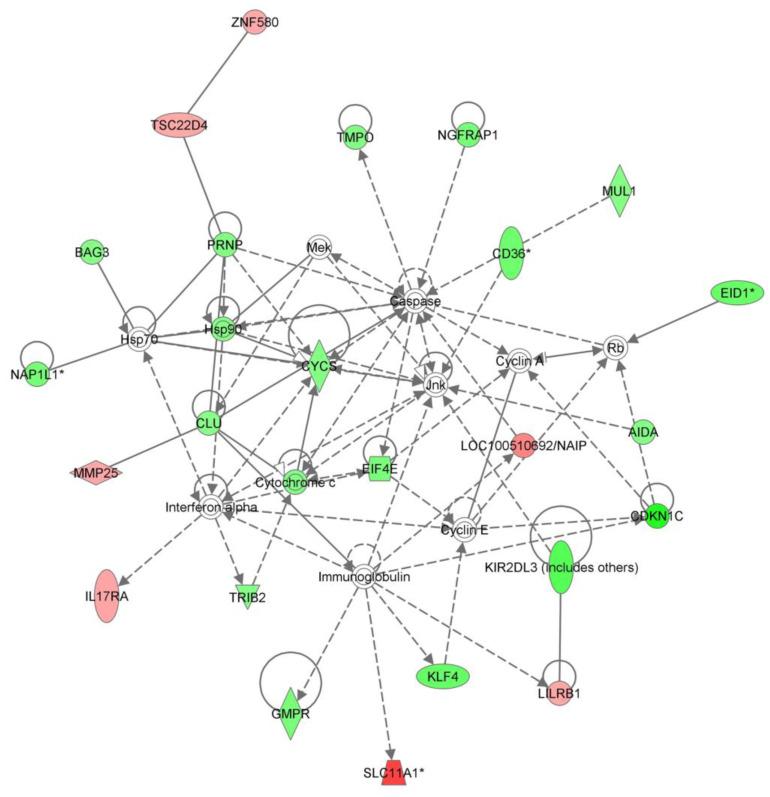 https://cdn.ncbi.nlm.nih.gov/pmc/blobs/0e99/10452153/786403df3d2c/biomedicines-11-02209-g002.jpg