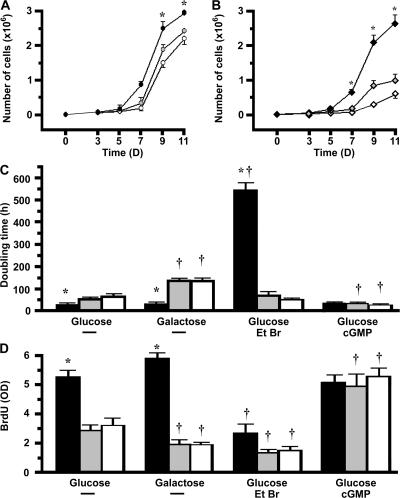 https://cdn.ncbi.nlm.nih.gov/pmc/blobs/0e99/2150973/ce5723373bc2/jem2043173f06.jpg