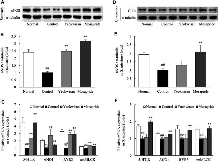 https://cdn.ncbi.nlm.nih.gov/pmc/blobs/0e99/8493126/2020a8d5b32b/fphar-12-753153-g005.jpg