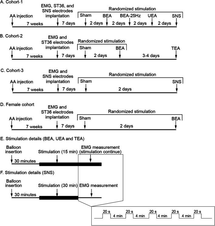 https://cdn.ncbi.nlm.nih.gov/pmc/blobs/0e9b/11552343/3a1beda86130/42234_2024_158_Fig1_HTML.jpg