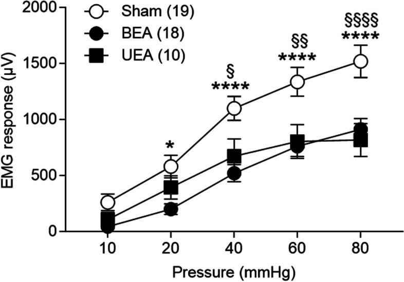 https://cdn.ncbi.nlm.nih.gov/pmc/blobs/0e9b/11552343/d1b4b36995d5/42234_2024_158_Fig3_HTML.jpg