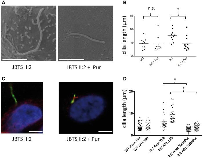 https://cdn.ncbi.nlm.nih.gov/pmc/blobs/0e9b/5886250/c7cfc1202f69/ddx347f4.jpg