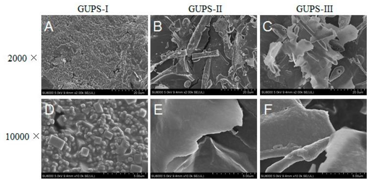 https://cdn.ncbi.nlm.nih.gov/pmc/blobs/0e9b/7022281/23bf82543ac0/biomolecules-10-00159-g003.jpg