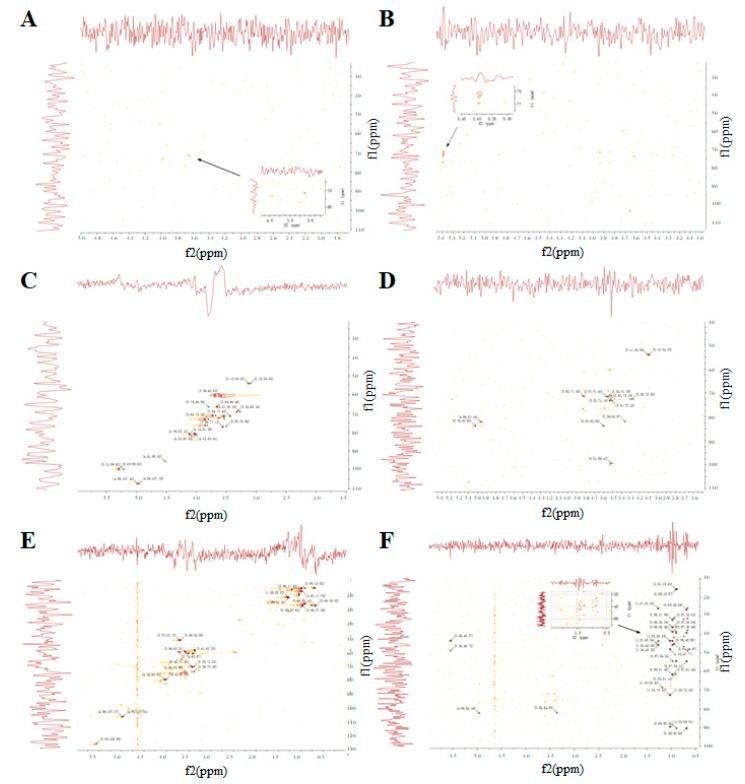 https://cdn.ncbi.nlm.nih.gov/pmc/blobs/0e9b/7022281/abbdbe053fa7/biomolecules-10-00159-g006.jpg