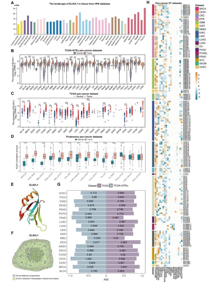 https://cdn.ncbi.nlm.nih.gov/pmc/blobs/0e9c/12116272/5980bacc05ea/j_jtim-2025-0009_fig_002.jpg