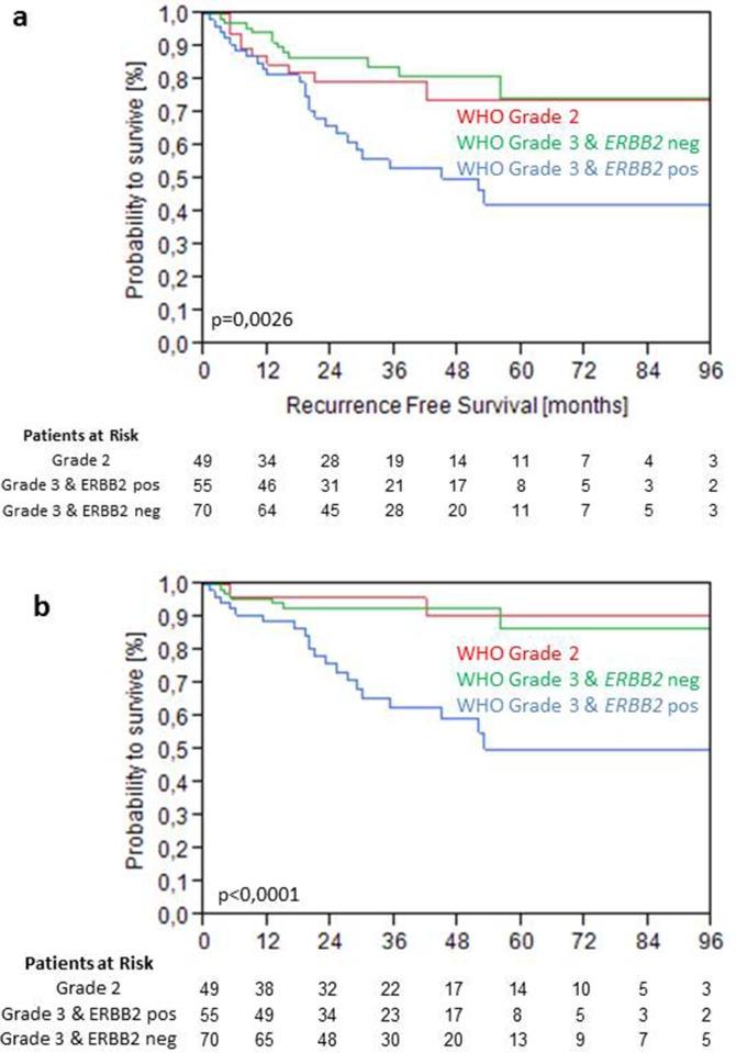 https://cdn.ncbi.nlm.nih.gov/pmc/blobs/0e9d/5620203/e5107b586b2c/oncotarget-08-67684-g005.jpg
