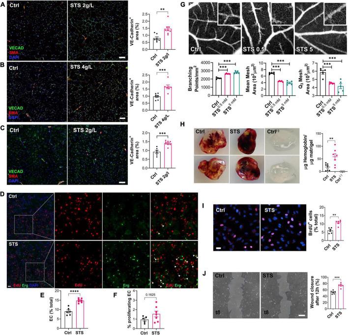 https://cdn.ncbi.nlm.nih.gov/pmc/blobs/0e9d/9575962/8c0f4fe3982b/fcvm-09-965965-g003.jpg
