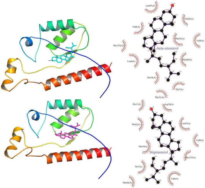 https://cdn.ncbi.nlm.nih.gov/pmc/blobs/0e9f/8215273/244e9e9c0f5d/fmolb-08-664416-g008.jpg