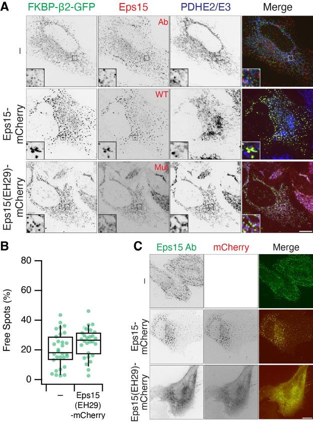 https://cdn.ncbi.nlm.nih.gov/pmc/blobs/0ea4/9337851/08612f118db1/elife-78929-sa2-fig3.jpg