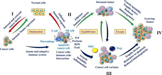 https://cdn.ncbi.nlm.nih.gov/pmc/blobs/0ea5/9043524/02d208ae254e/fimmu-13-850856-g002.jpg