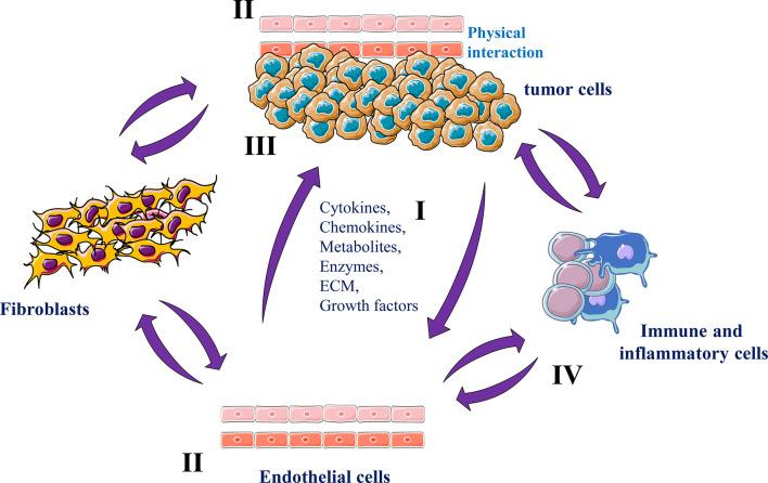 https://cdn.ncbi.nlm.nih.gov/pmc/blobs/0ea5/9043524/273b3f1a9917/fimmu-13-850856-g004.jpg
