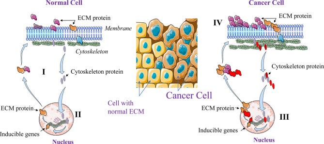 https://cdn.ncbi.nlm.nih.gov/pmc/blobs/0ea5/9043524/5f10a5913239/fimmu-13-850856-g001.jpg