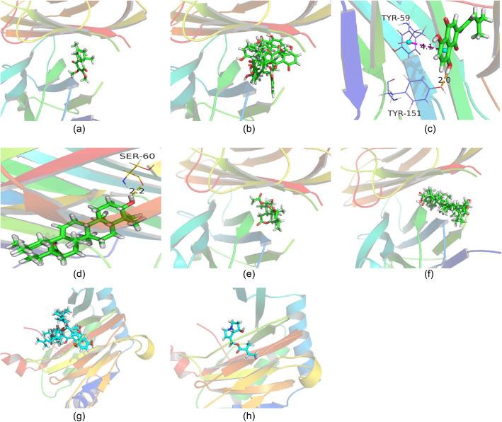 https://cdn.ncbi.nlm.nih.gov/pmc/blobs/0ea8/7590697/2d4a9b06455f/12906_2020_3106_Fig5_HTML.jpg