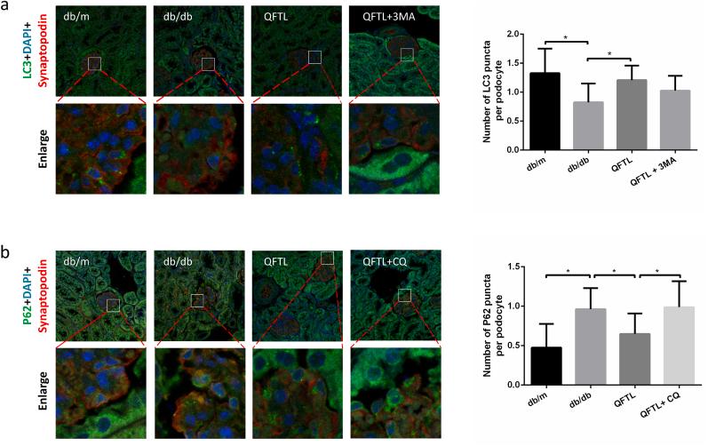 https://cdn.ncbi.nlm.nih.gov/pmc/blobs/0eac/11068988/c36f6255947b/gr3.jpg
