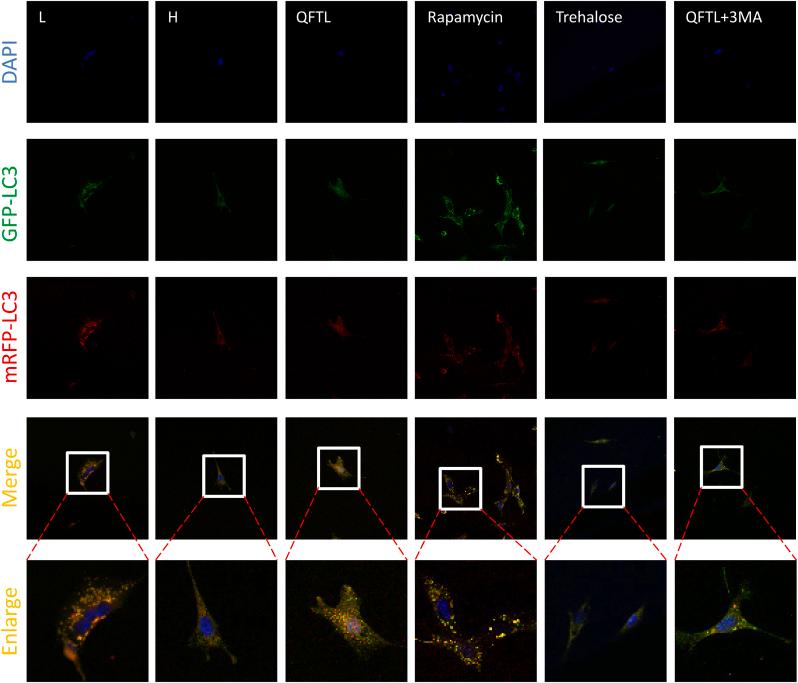 https://cdn.ncbi.nlm.nih.gov/pmc/blobs/0eac/11068988/deb9c6fc778e/gr2.jpg