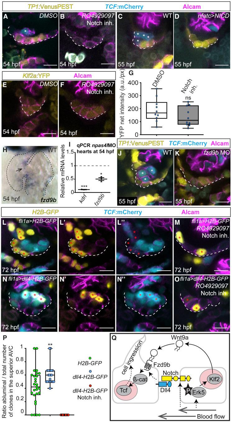 https://cdn.ncbi.nlm.nih.gov/pmc/blobs/0ead/8511505/10db2c61f65f/gr4.jpg
