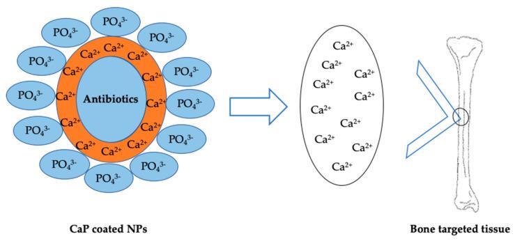 https://cdn.ncbi.nlm.nih.gov/pmc/blobs/0eaf/7279399/33c3b9719fee/nanomaterials-10-00875-g004.jpg