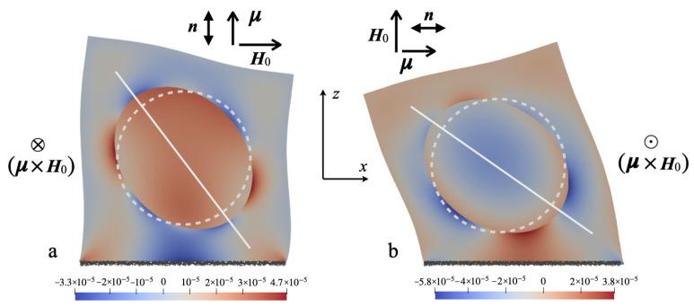 https://cdn.ncbi.nlm.nih.gov/pmc/blobs/0eb0/10780694/b90bf6fb3478/nanomaterials-14-00031-g001.jpg