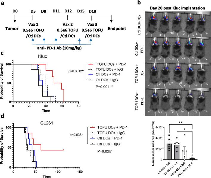 https://cdn.ncbi.nlm.nih.gov/pmc/blobs/0eb0/10809449/faba2aace19a/13073_2024_1281_Fig3_HTML.jpg