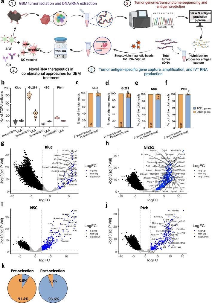 https://cdn.ncbi.nlm.nih.gov/pmc/blobs/0eb0/10809449/fd6094bd2714/13073_2024_1281_Fig1_HTML.jpg