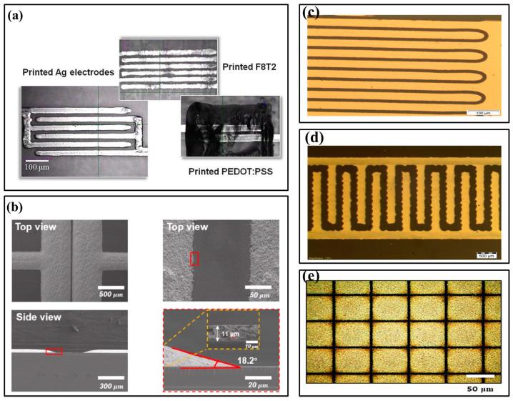https://cdn.ncbi.nlm.nih.gov/pmc/blobs/0eb1/10136501/db7bb792fefc/biosensors-13-00469-g002.jpg