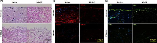 https://cdn.ncbi.nlm.nih.gov/pmc/blobs/0eb1/7907089/47476524cfad/41598_2021_84161_Fig1_HTML.jpg