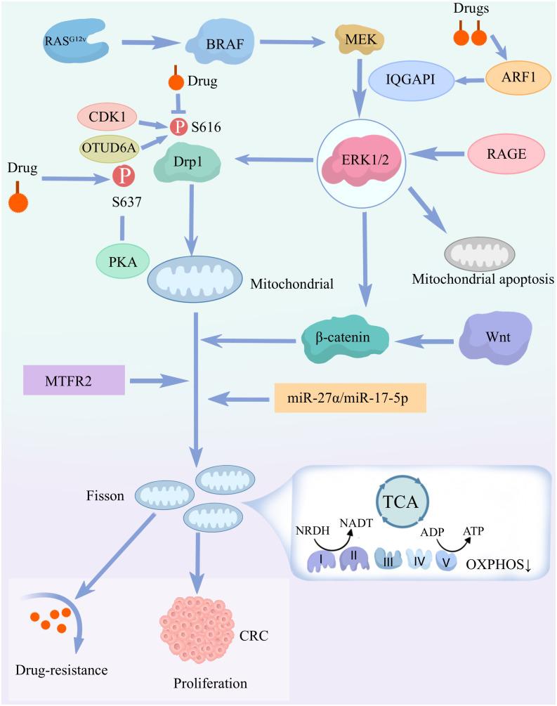https://cdn.ncbi.nlm.nih.gov/pmc/blobs/0eb2/11701040/b326148c05ce/fimmu-15-1512469-g002.jpg