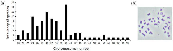 https://cdn.ncbi.nlm.nih.gov/pmc/blobs/0eb3/11673813/50da9e048ed9/biology-13-01068-g002.jpg